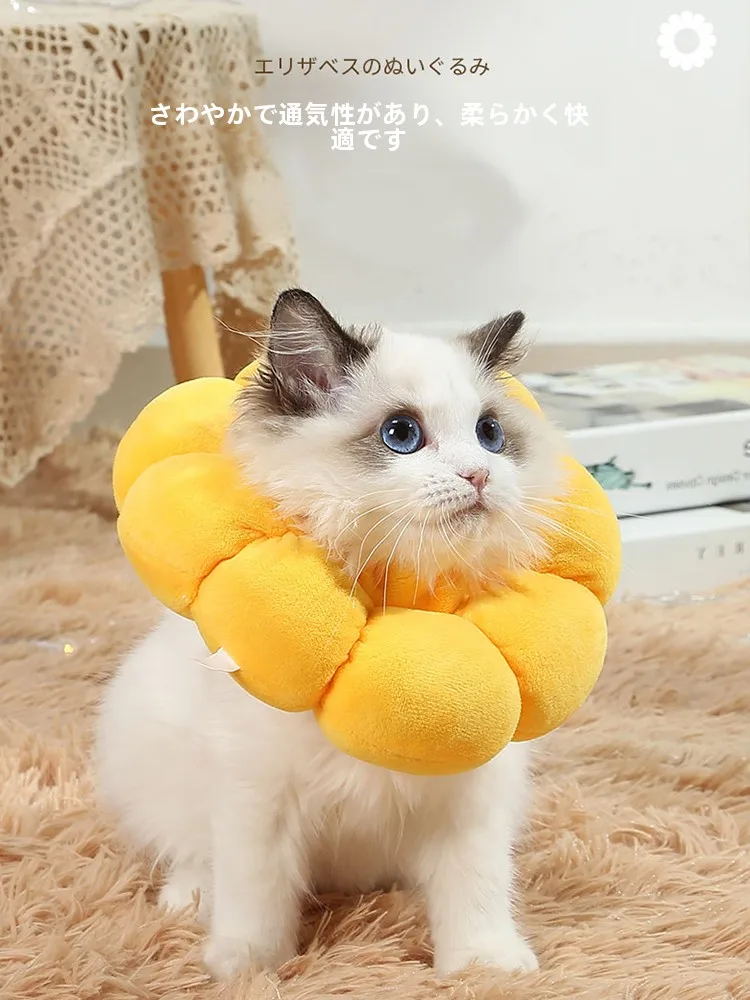 猫 飼いが買ってよかったもの・悪かったもの正直に言う｜手術後用サポートマットの完全ガイド