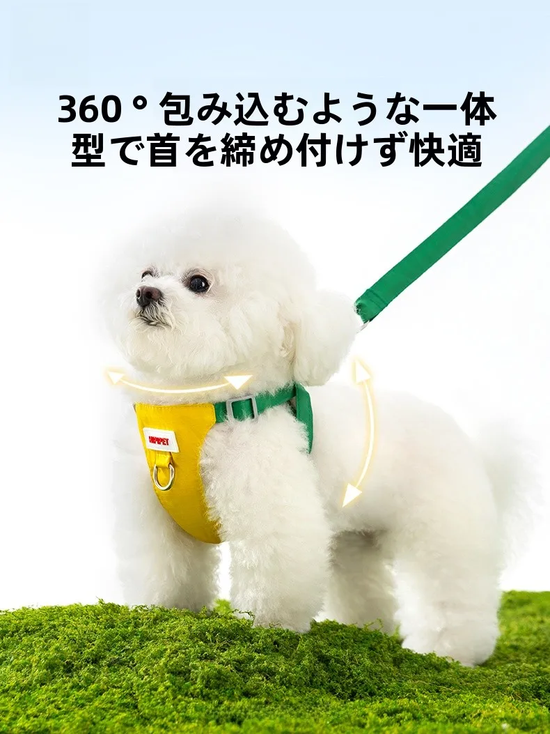 小さな犬と歩く毎日を、どうやって快適に保つ？