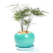 ミニ可愛い陶器の多肉植物用鉢【純白・ピンク・丸形・通気性あり】