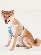 ハーネス式ペット用リード【中小型犬用・Bichon Frise向け・快適なデザイン】