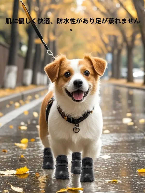 犬のお散歩グッズをコスパ良く揃える方法 - 撥水モデルシューズのサイズ対応と四季対応