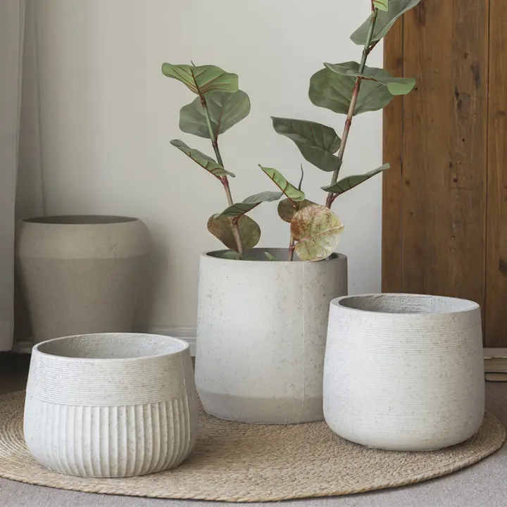 植木鉢 室内使用 コンクリート 丸型 大サイズ 創造的 装飾