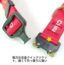 中型犬・大型犬用リード付き首輪【耐久性・散歩に最適】
