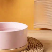 自動加熱陶器製 猫用恒温給水器【冬用・温度調整・犬用・猫用】