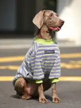 大型犬用 冬季ペットウェア【暖かい保温素材・ラブラドール・ゴールデン・ドーベルマン対応】