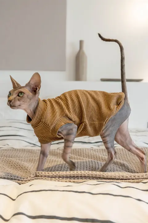 GINGERAIN ストライプデザインの猫用タンクトップ【無毛猫用・コットン・保温性・基本款】