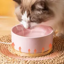 ペット用保温飲水ボウル【陶製・犬猫兼用・冬季用】