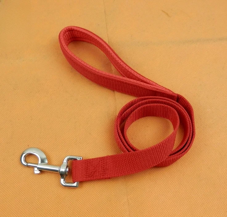 犬のお散歩グッズをコスパ良く揃える方法　完全ガイド