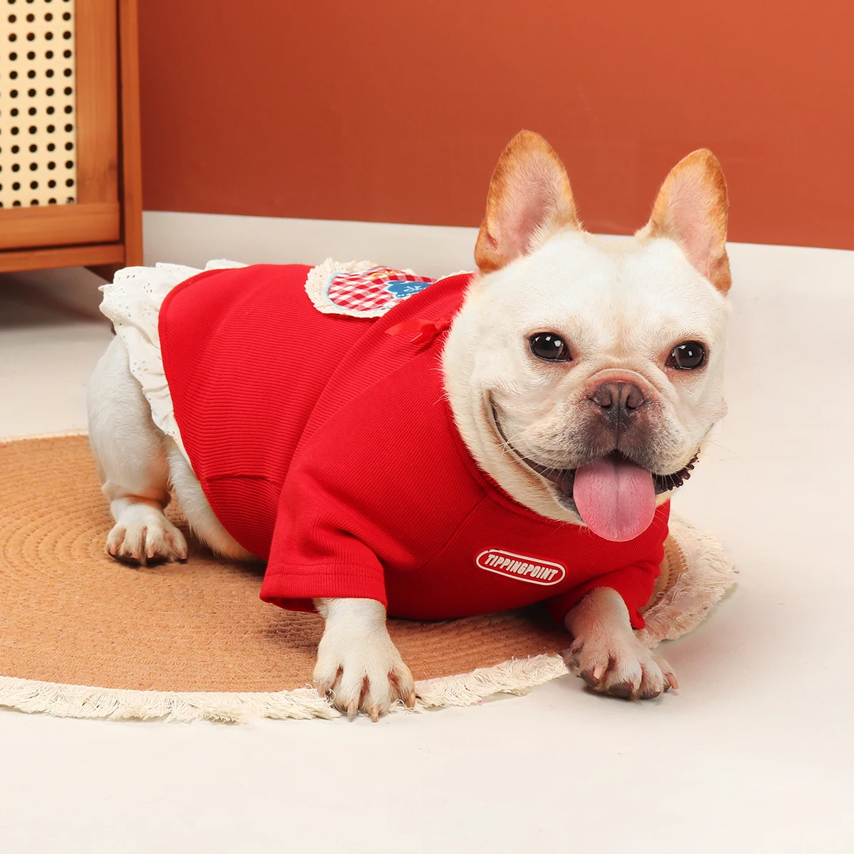 パグに合う服は、本当に選び方で決まる？