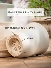 加厚プラスチック製植木鉢【深型・グリーンロート・ラン・観葉植物用・陶器風】