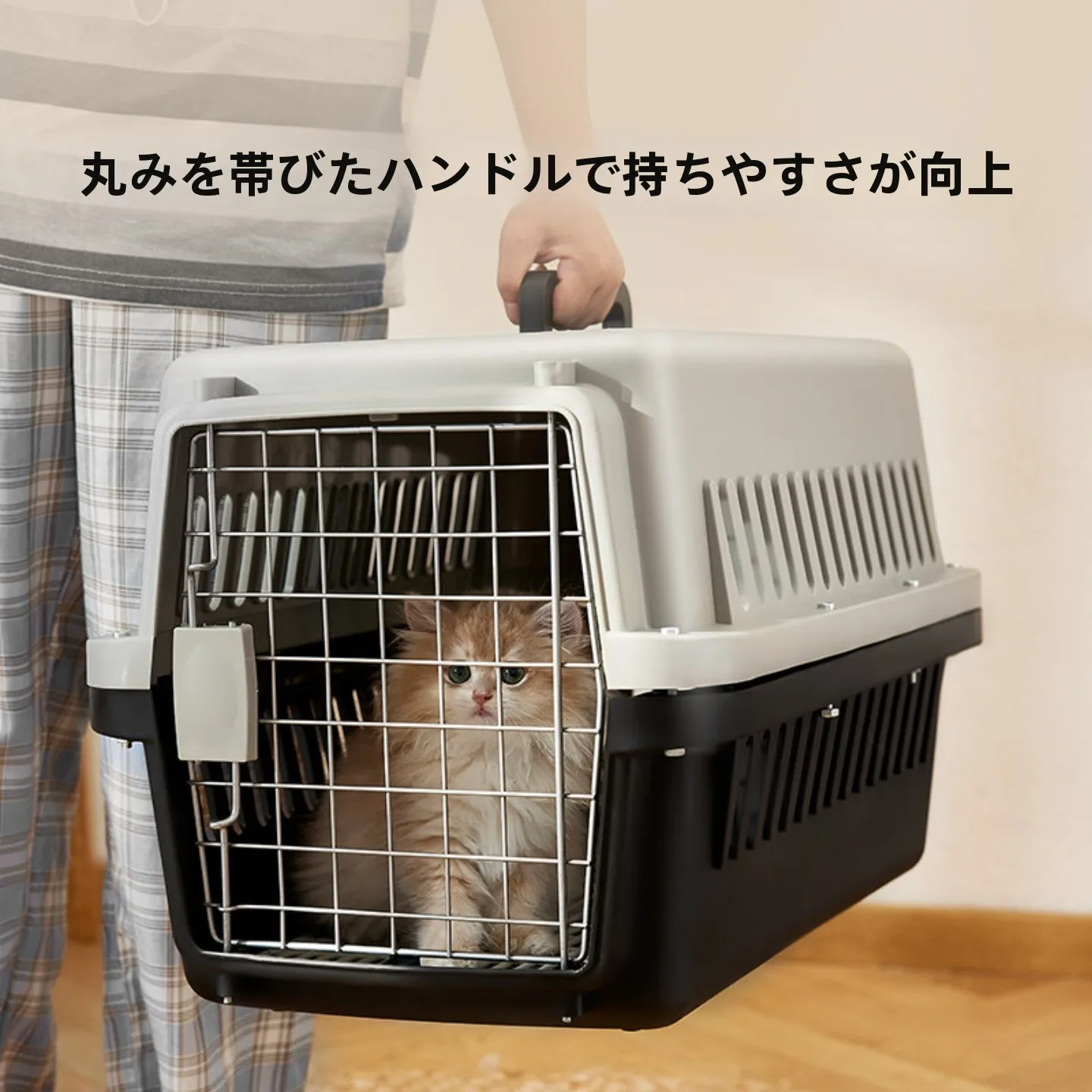 災害時や引っ越しでペットを安全に守るための「キャリーケース」は、本当に必要なのか？