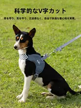 中小型犬用の脱出防止ハーネス付きリード【外出用・極上の柔らかさ】