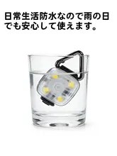愛犬のための夜用LEDライト【散歩・迷子防止・ペット用】