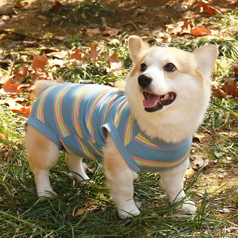 柴犬とコーギー用 犬服：手術後・防舔・全身カバーに最適な四脚衣の実用性解析