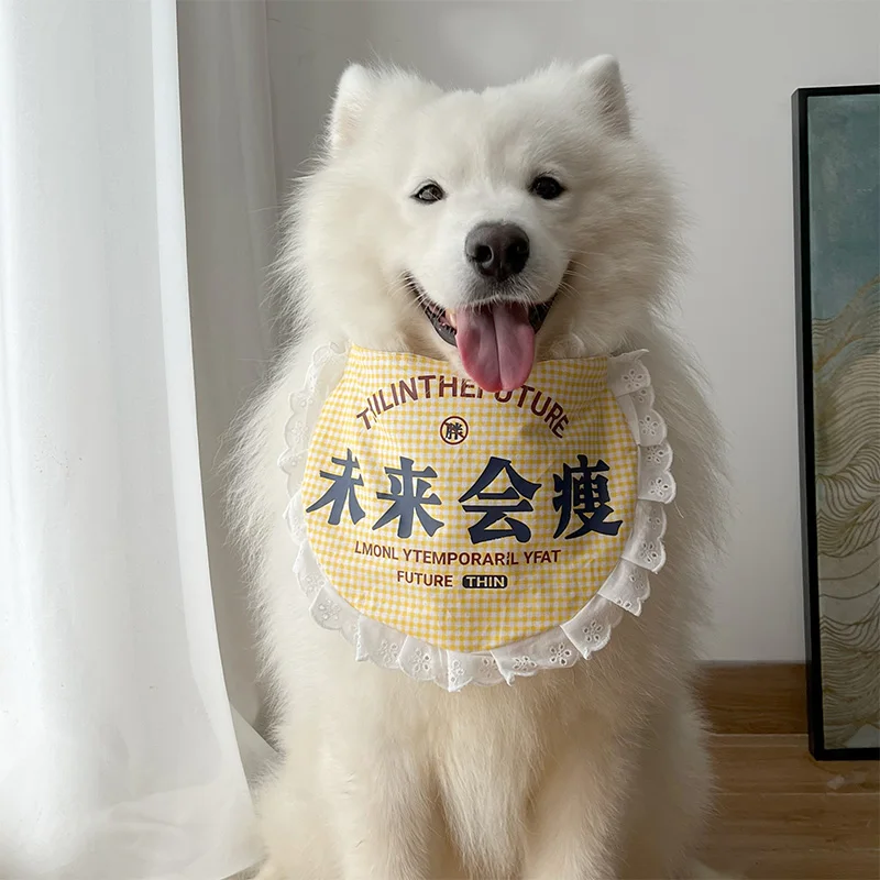 犬のよだれを気にしないでいい？中大型犬に最適な口水巾の選び方