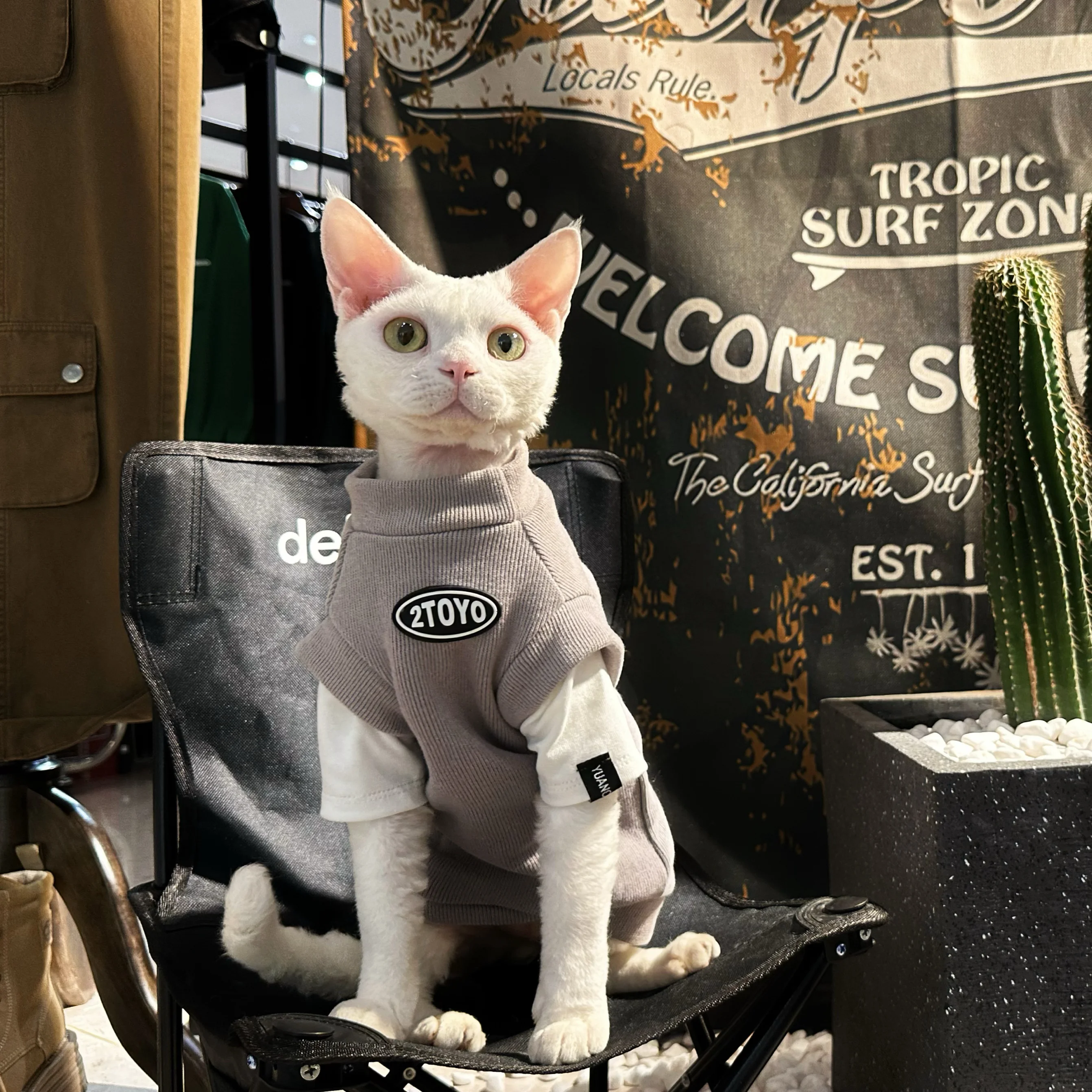 猫飼いが買ってよかったもの・悪かったもの正直に言う｜冬用加厚長袖シャツの実測ガイド