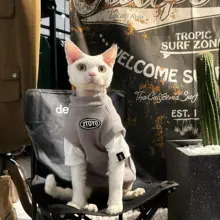Y·H 冬用加厚保暖猫デザイン長袖シャツ【トレンド・重ね着風】
