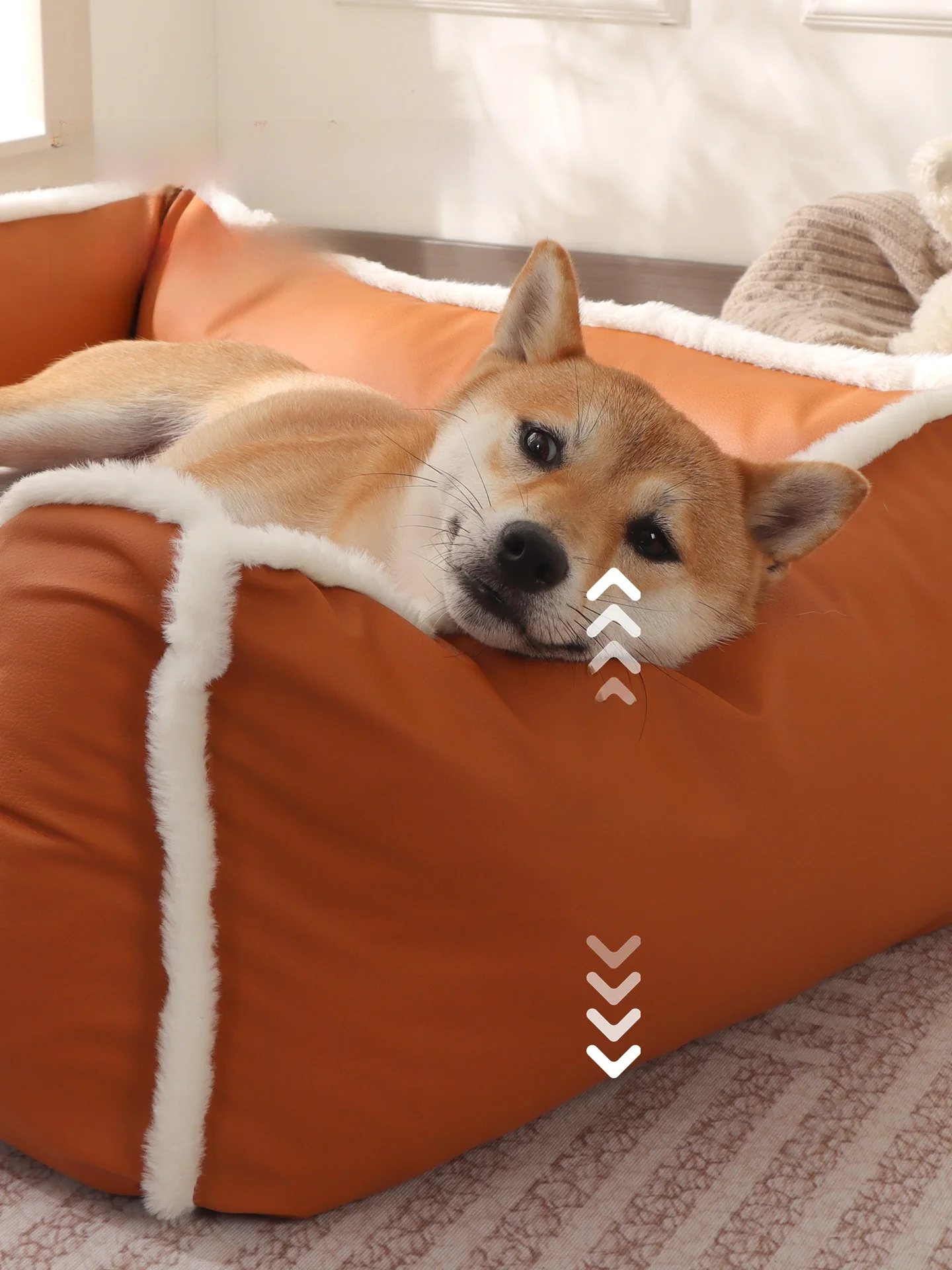 大型犬を室内で飼うなら、この「洗えるペットソファ」が本当に救いだった！