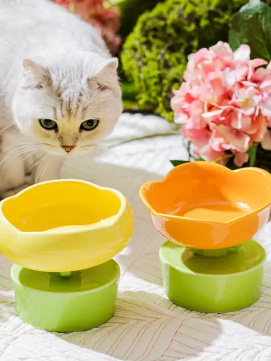 陶器製 猫用フラワーデザイン水飲みボウル【高脚・ねじれ防止・大容量】