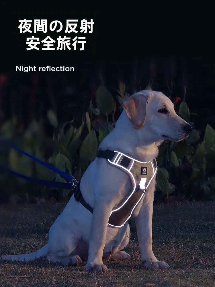 犬のお散歩グッズをコスパ良く揃える方法　ハーネス型リードの選び方徹底解説