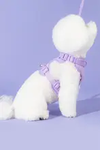 軽量で通気性のある防水ペット用ハーネスとリードセット【赤・大型犬・中型犬・小型犬対応】