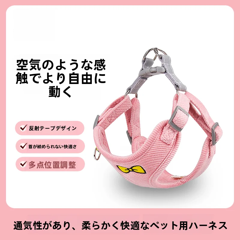 犬のお散歩グッズをコスパ良く揃える方法　徹底解説・選び方の5ステップ