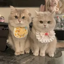 可愛い猫用エプロン【レース・ペット用・撮影用アクセサリー・首飾り】