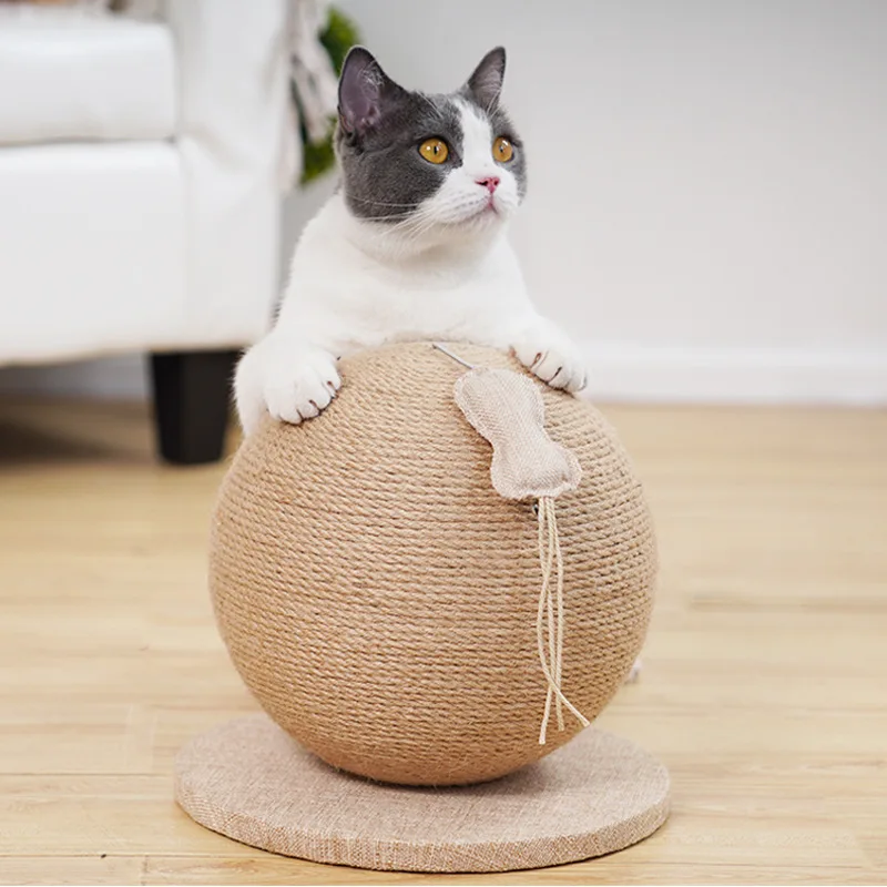 猫のための家はどう選ぶ？マッシュルーム型キャットタワーが解決するリアルな悩み
