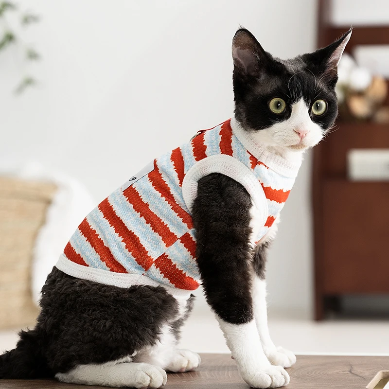 おしゃれキャットトゥルーズを選ぶべきタイミングは？