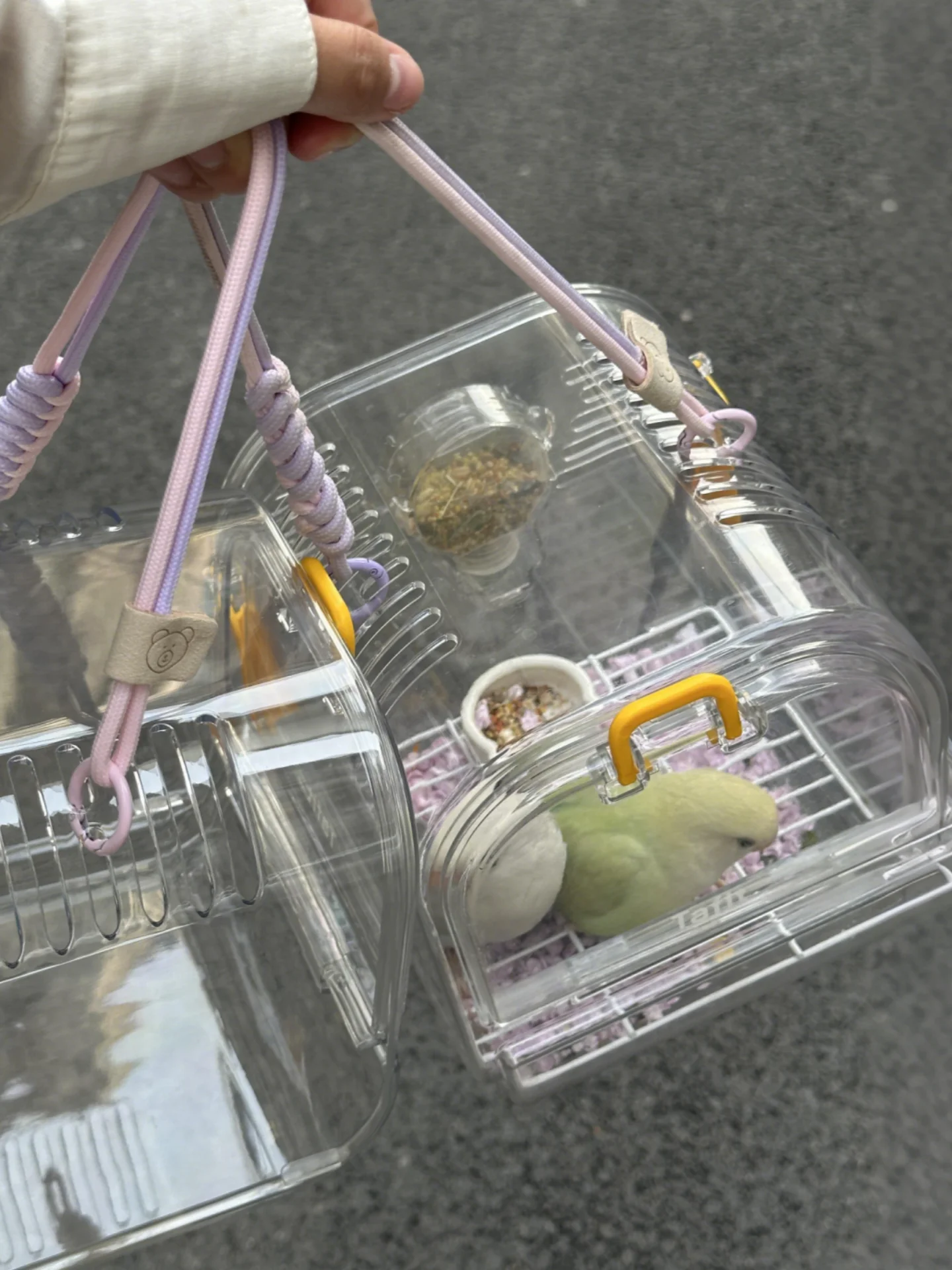 鳥ケージ アクリル の取り入れ方は？3選で暮らしに溶け込むインテリアの選び方