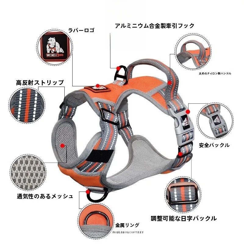 犬のお散歩グッズをコスパ良く揃える方法｜一体型ハーネスリードの実測ガイド