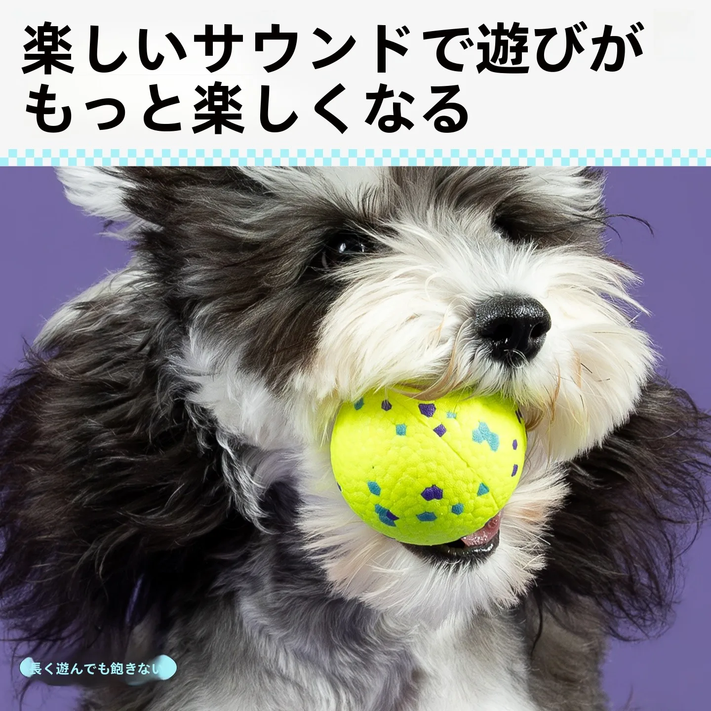 噛んでも壊れない犬用おもちゃ・音鳴りボールは成犬期の飼い主に最適な遊び道具