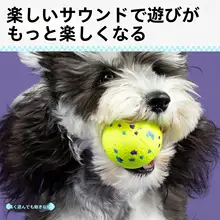 犬用おもちゃ 噛み玩具 ETPU製 耐久性 壊れにくい サウンド機能 ポップコーン型 水に浮く 歯磨き 小型犬 中型犬 大型犬用 「QMONSTER」