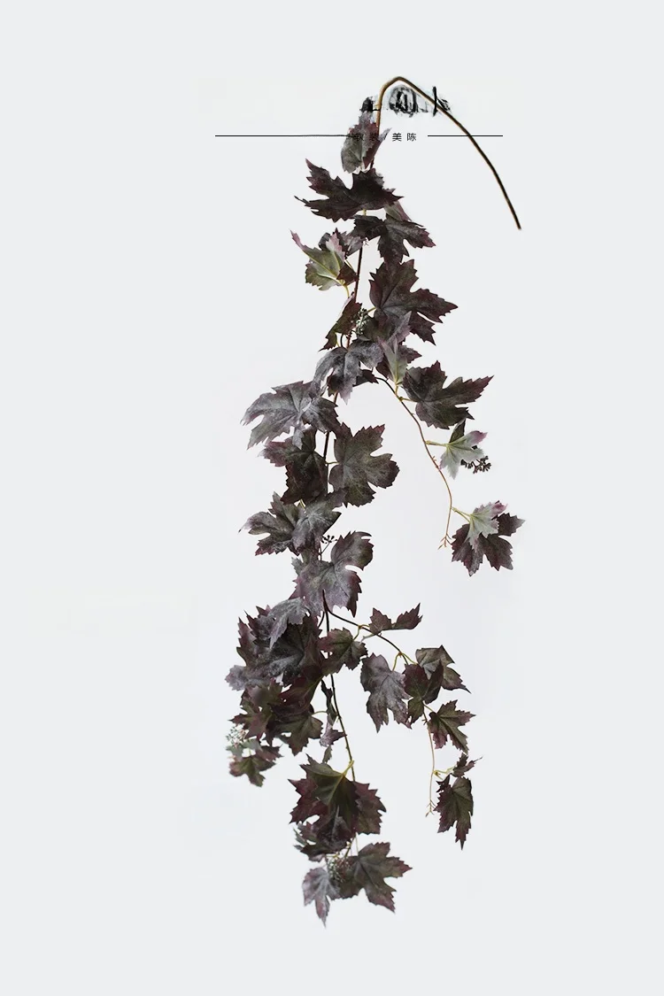 ワイヤープランツを育てたいなら、まずは「リアルなつる植物」を選ぶべき？
