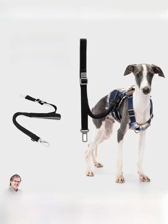 車用伸縮犬用安全ベルト【ペット用・固定リード・便利ツール】