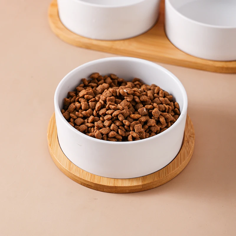 猫飼いが買ってよかったもの・悪かったもの正直に言う：陶器製ペット用食器のダブルボウル構造と実用性