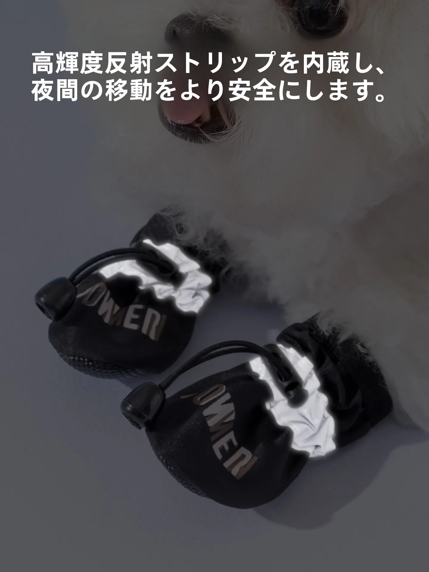 子供向けペットの安全な散歩サポート：hipidog 軟底防水シューズの実用性と使い方