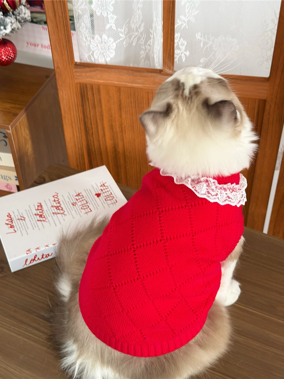 ロリータ風猫ニットセーター：秋冬に最適なレース付きフェミニンスタイルとは