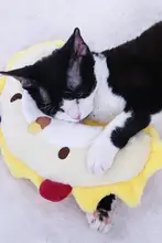 猫犬 ペット 安眠枕 クッション 睡眠 四季通用 洗濯可能 頸椎サポート あご