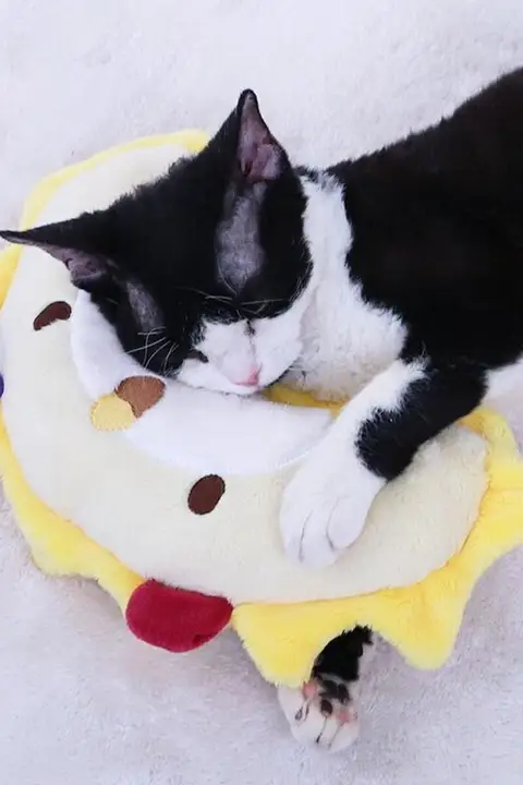 猫犬 ペット 安眠枕 クッション 睡眠 四季通用 洗濯可能 頸椎サポート あご