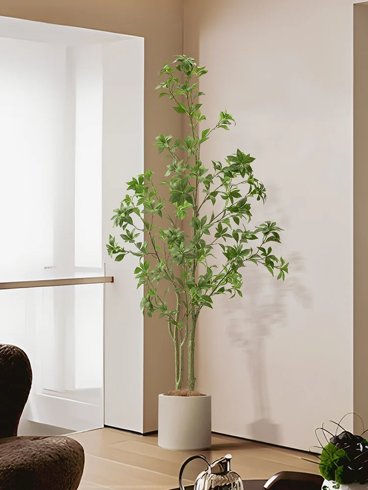 フル活用した節約生活のコツ｜植物で空間をリフレッシュする完全ガイド