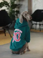 大型犬用 秋冬運動パーカー【防毛・ペットウェア・ゴールデンレトリバー・ラブラドール対応】