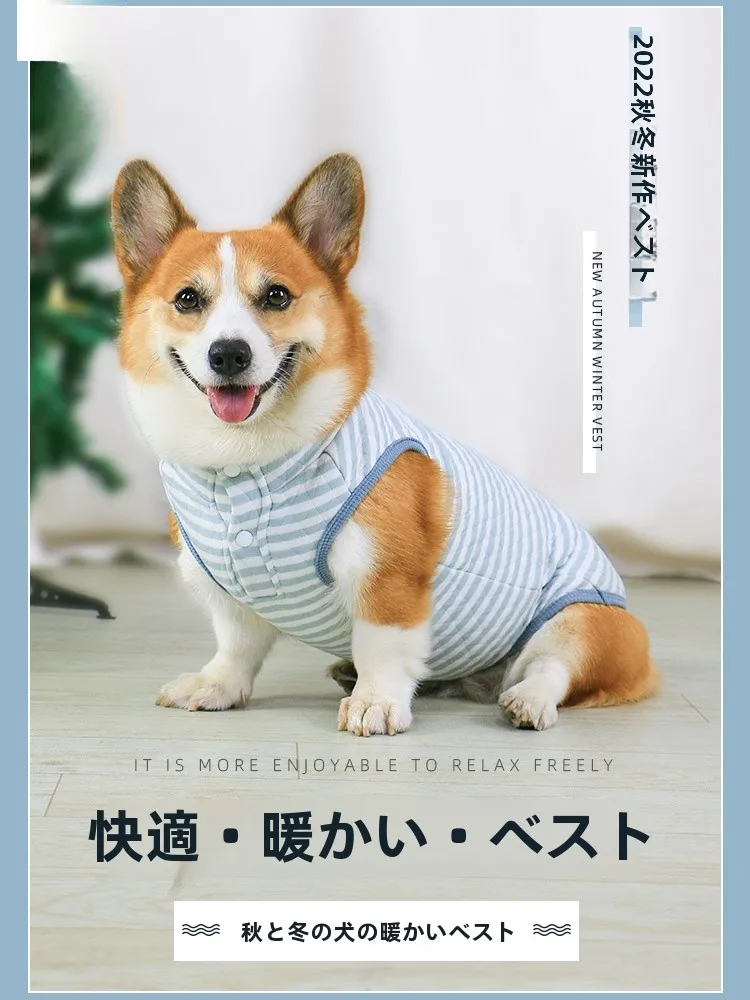 小型犬服の選び方：全棉素材で抜け毛防止の背心が実用性を実証