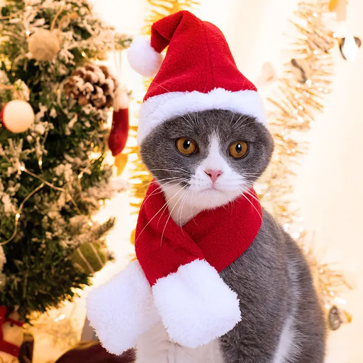 ペット用クリスマスコスチューム【犬用・ハロウィンのマント・猫用ヘアバンド・スカーフ付き・帽子・秋冬用】