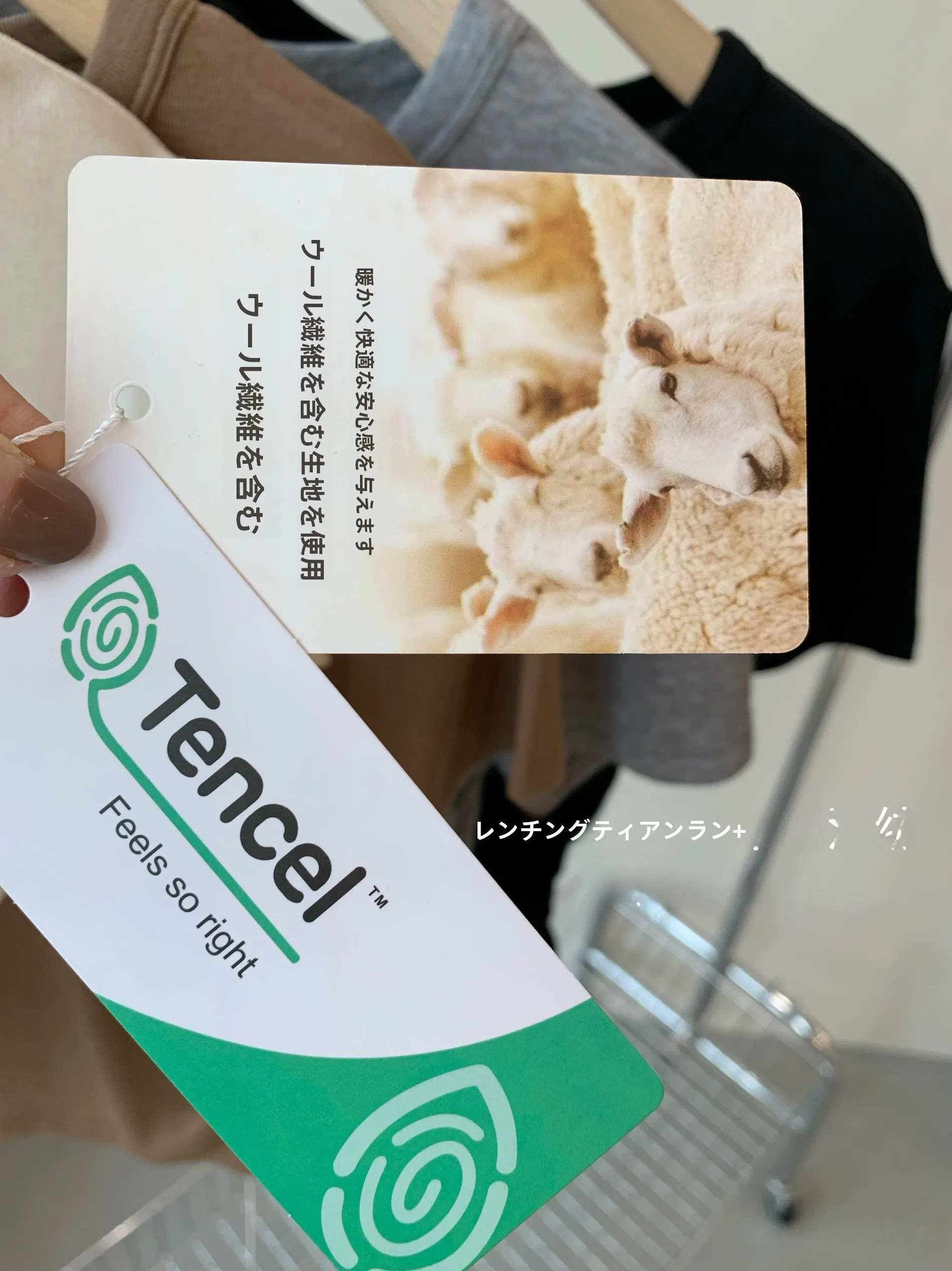 ライセルウールの脊骨装飾ライン入りTシャツ：背中ラインのデザインと実用性を解説