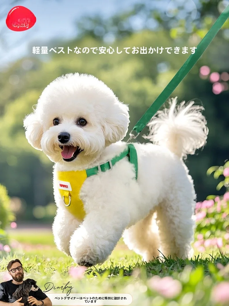 小さな犬と歩く毎日を、どうやって快適に保つ？