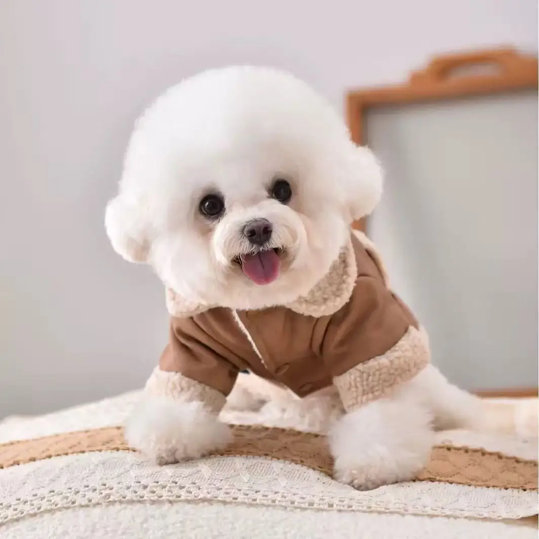 犬のお散歩グッズをコスパ良く揃える方法 - 冬季スエード調コートの選び方と特性