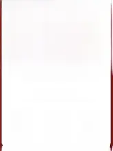 ラシャベル イエロー デニム パンツ【レディース・ゆったりシルエット・春秋用・クラシックストレート】