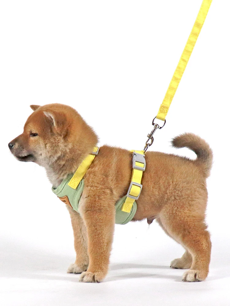 犬のお散歩グッズをコスパ良く揃える方法｜調整可能なハーネス付きリードの徹底解説