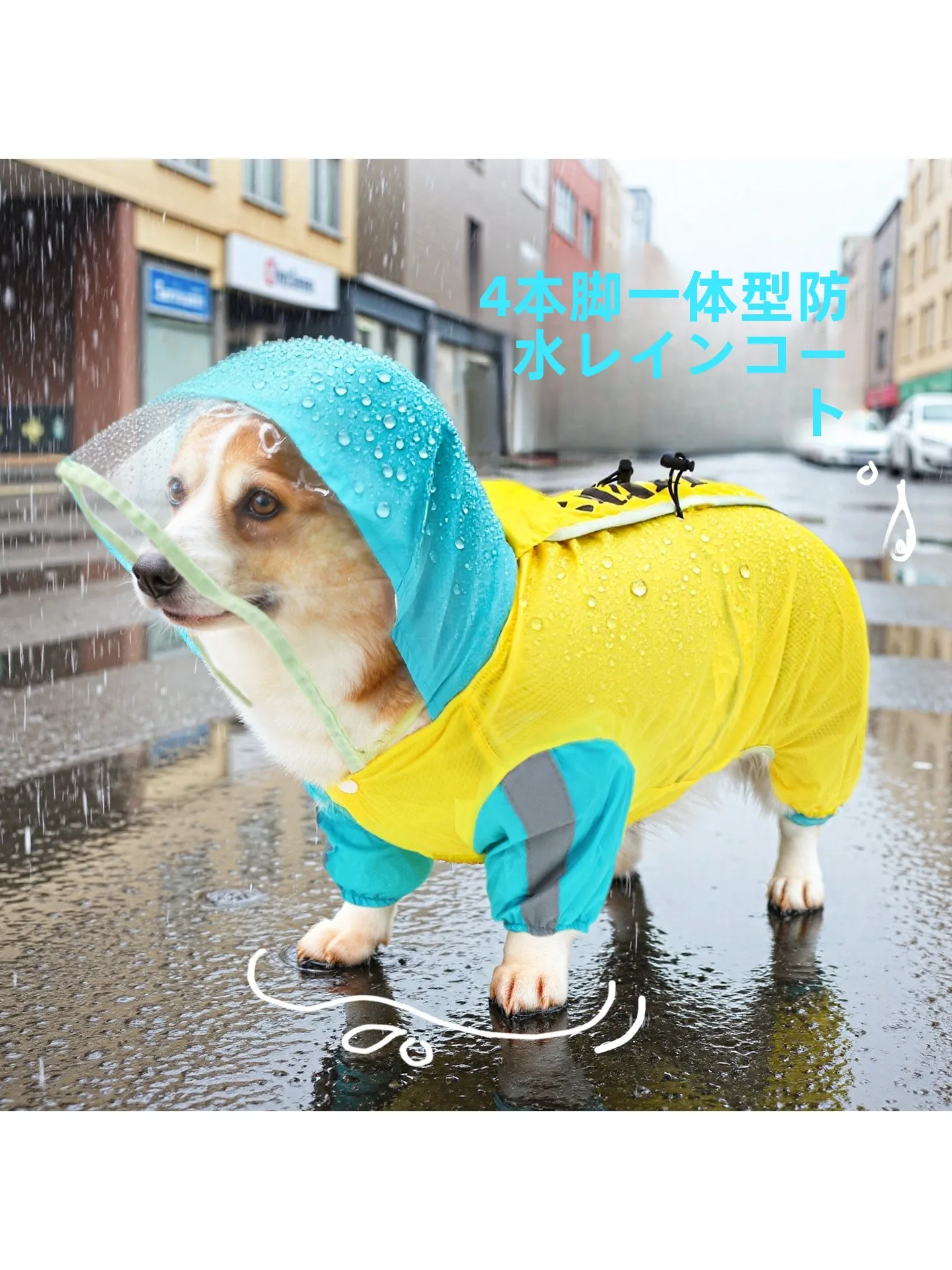 犬と一緒にアウトレットに行くとき、雨の日はこうやって防ぐ？